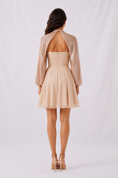 The Champagne Toast Dress